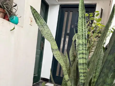 Depto Tipo Casa en Venta al Norte