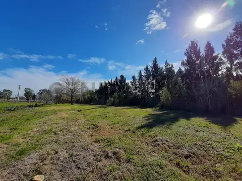 Lote en venta