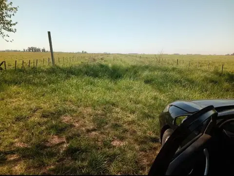 Ruta 3