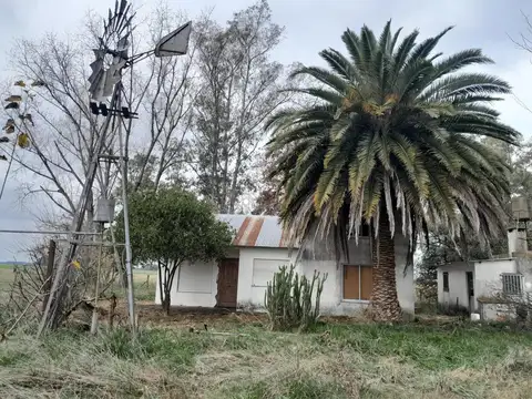 CAMPO EN CAÑUELAS, APTO AGRICULTURA Y GANADERIA