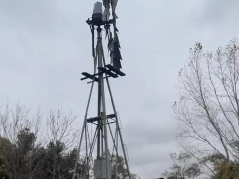 CAMPO EN CAÑUELAS, APTO AGRICULTURA Y GANADERIA