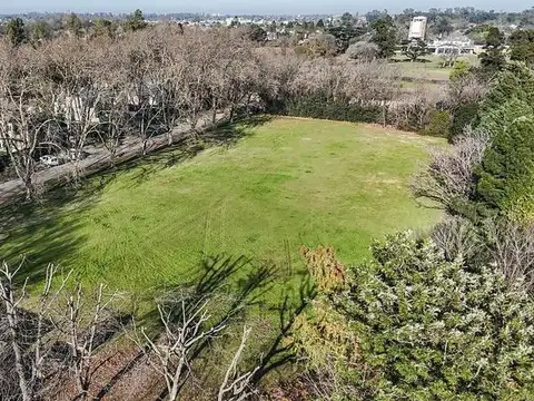 Excelente terreno Arbolado en Venta.
