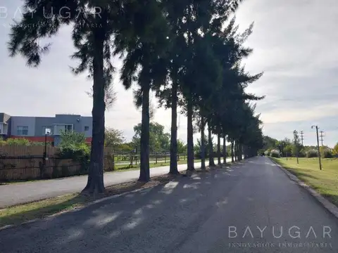 Terreno en Venta 15  mts Frente