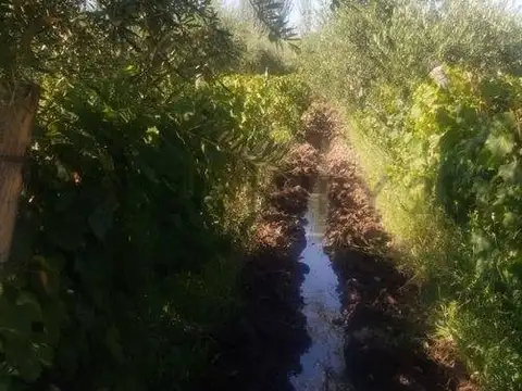 Finca en venta en Maipú Lunlunta