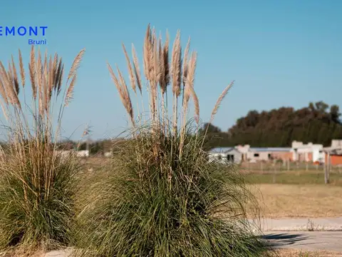 Terreno en Venta 37  mts Frente