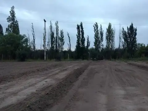 Manuel Cruz Videla 2000, Piso 0