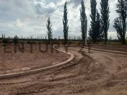Terreno en Venta en Cruz De Piedra, USD 17.500