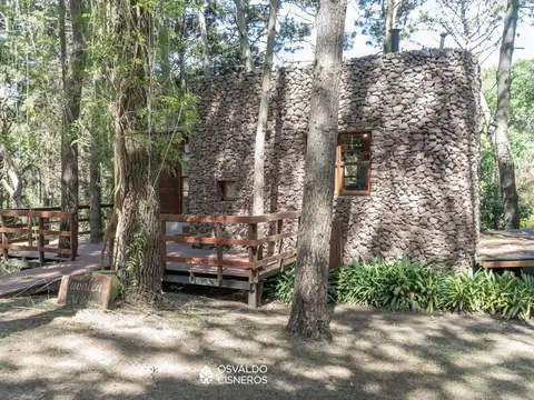 Juvalen del Bosque 100