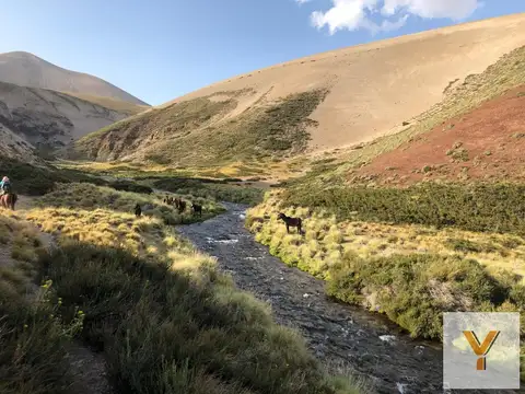 Campo en venta - 5.545.000Mts2 - Mendoza