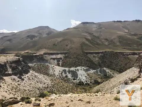 Campo en venta - 5.545.000Mts2 - Mendoza