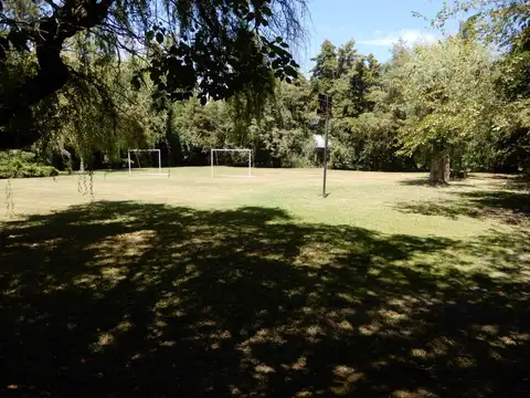 Terreno en Venta 41  mts Fondo