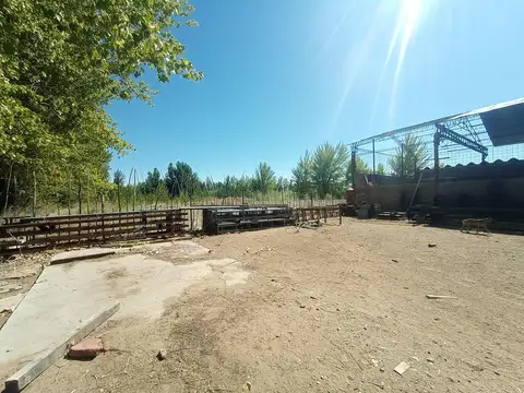 Galpon en Alquiler A Estrenar