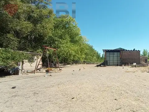 Galpón ubicado en la ciudade de Senillosa, provincia de Neuquén.