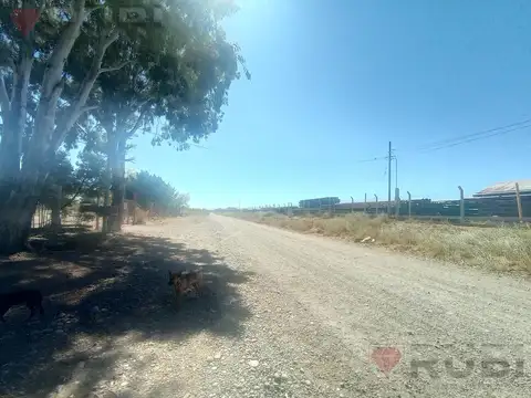 Galpon en Alquiler A Estrenar