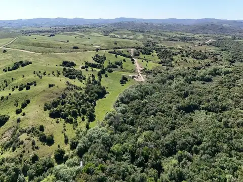 Quinta en Venta en San Carlos, USD 85.000