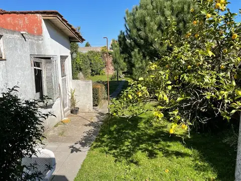 Larrea y Buenos Aires