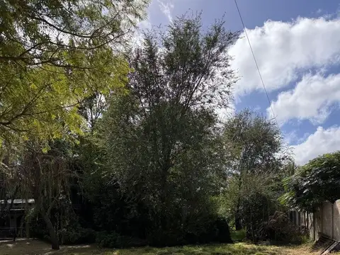 LOTE EN VENTA EN PEHUAJO EN BARRIO CENTENARIO