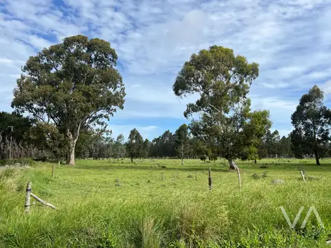 Terreno en Venta 235  mts Fondo