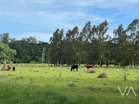 Terreno en Venta 450  mts Frente