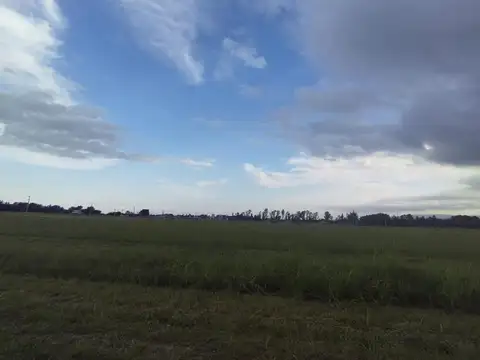 VENDO TERRENO en  Anisacate