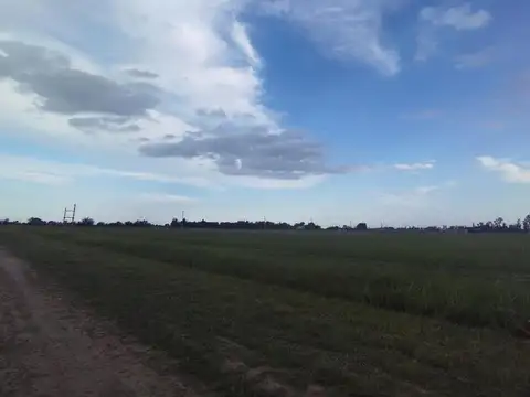 Terreno en Venta de 750,0 m2