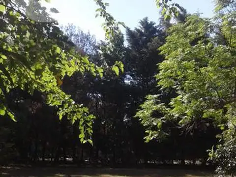 Quinta en Venta al Norte