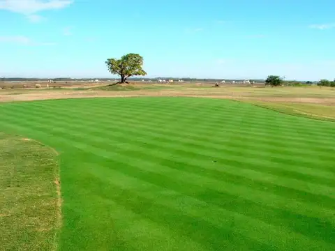 Terreno en Venta de 903,0 m2