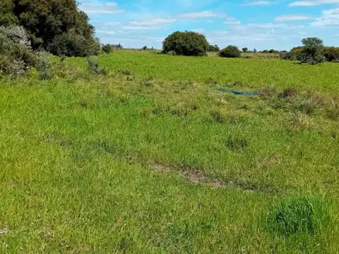 Camino a Cañada Bellaca 100