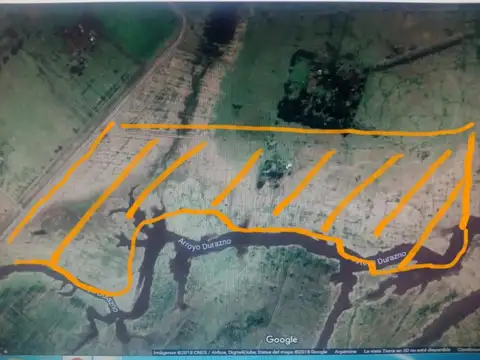Campo en Venta de 79  ha