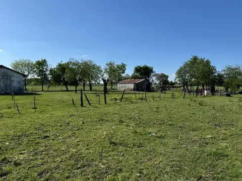 Vendo Campo de 4,2 hectáreas en Villa Elisa, Colón, Entre Ríos.