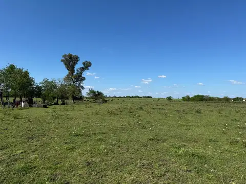Vendo Campo de 4,2 hectáreas en Villa Elisa, Colón, Entre Ríos.