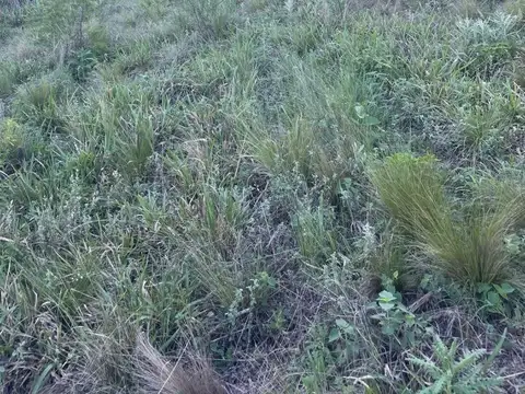 TIERRALTA COMARCA SERRANA BARRIO PRIVADO