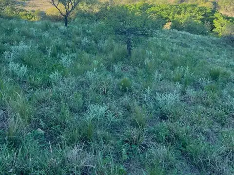 Terreno en Venta de 1180,0 m2