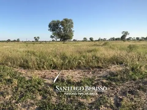 46 ha. Campana