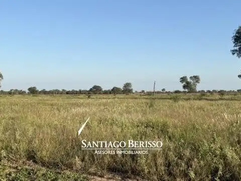 46 ha. Campana