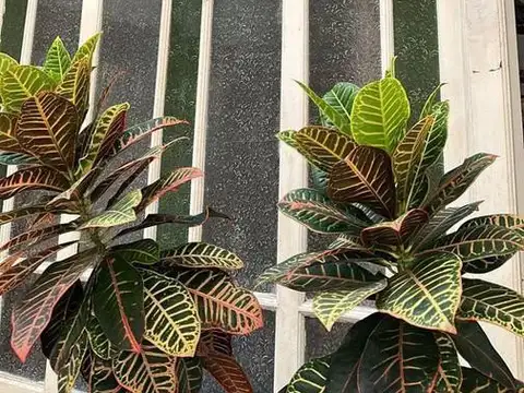 Depto Tipo Casa 5 ambientes con 1 baño