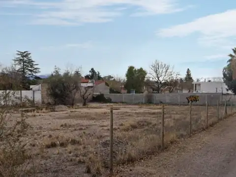 Lotes en Luján de Cuyo
