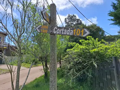 AV 19 Y PASEO 101 BIS ESQUINA