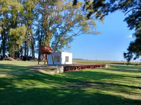 Campo en Venta Agrícola