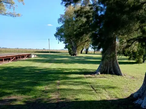 70 has de campo 100 % agrícola suelo uno y casco impecable.