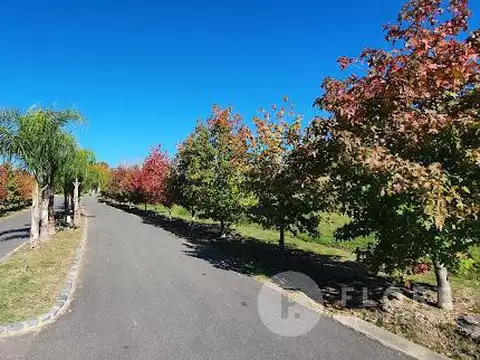 Terreno en Venta de 815,0 m2