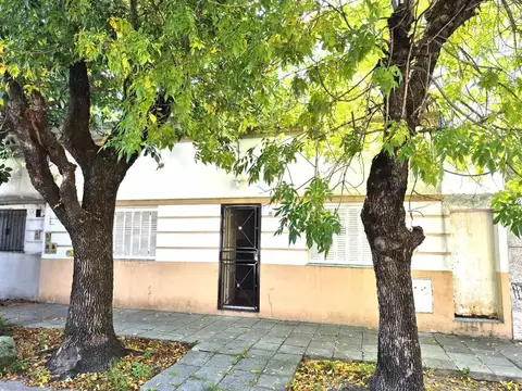 Cayena 100