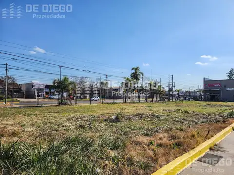 Terreno en Alquiler 24  mts Fondo