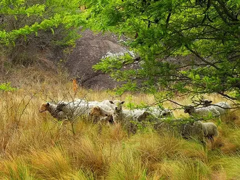 Hermoso campo en Ojo de Agua