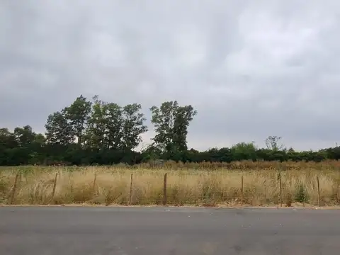 Campo en Matheu