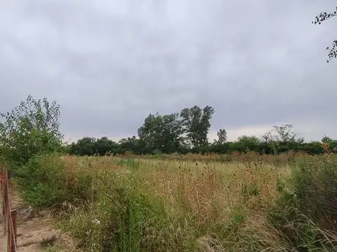 Campo en Matheu