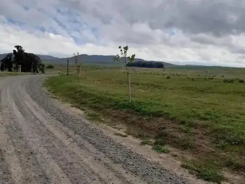Terreno en Venta de 800,0 m2