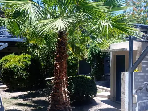 Departamento en Venta 12 años