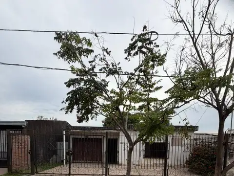 Cervantes 1500