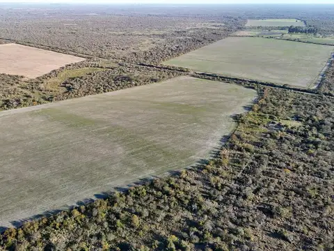 Campo mixto
